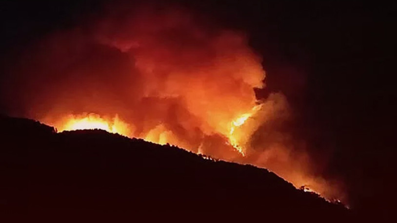 Adana'da korkutan yangın... Vatandaşlar evlerini boşalttı