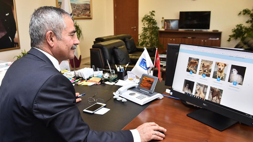 Ankara Büyükşehir Belediyesi'nden örnek uygulama: E-pati