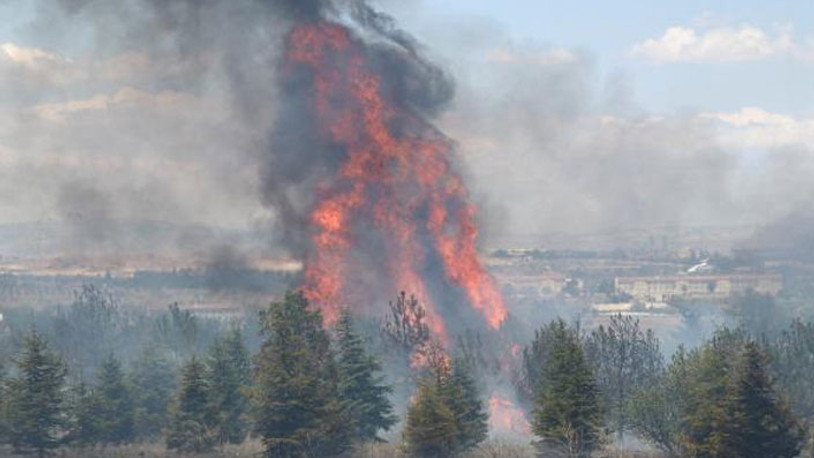 Atatürk Orman Çiftliği'ndeki yangının şüphelisi hakkında yeni gelişme