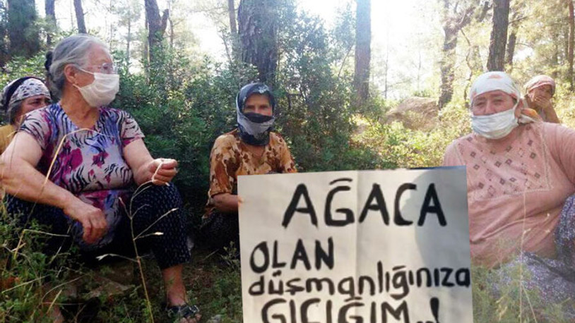 Bayramı ormanda nöbet tutarak geçiriyorlar: İkizköy'de mücadele sürüyor