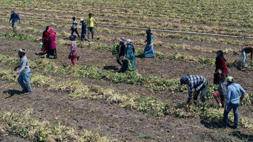CHP'den binlerce işçiyi ilgilendiren 'işsizlik ödeneği' teklifi