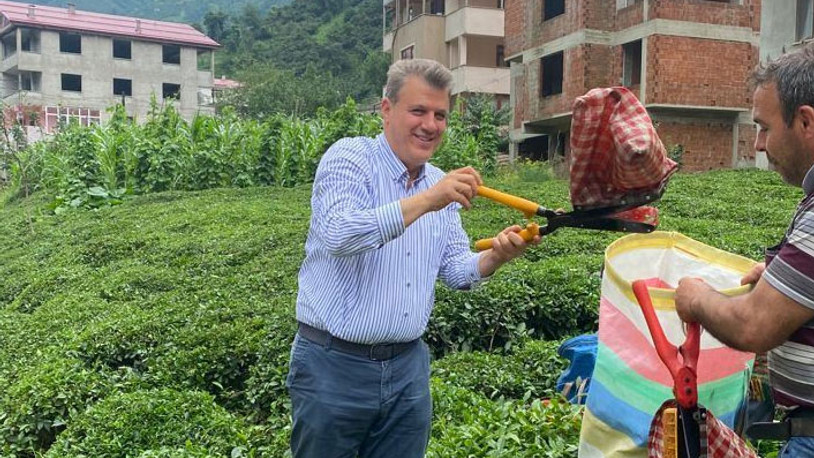 CHP'li Barut'tan ÇAYKUR'a kota ve kontenjan tepkisi: Karadenizlinin çığlığını duyun!