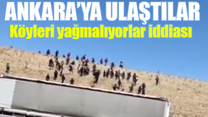 Kaçak göçmen istilası...