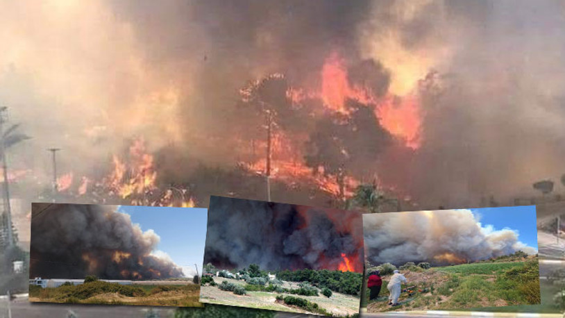 Manavgat'ta 4 ayrı noktada orman yangını: Felaket durum...