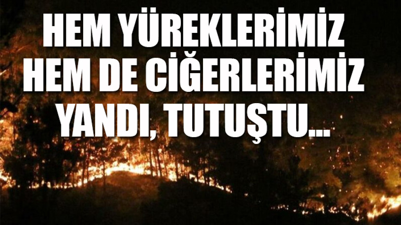 Manavgat'taki orman yangınından çok acı haberler