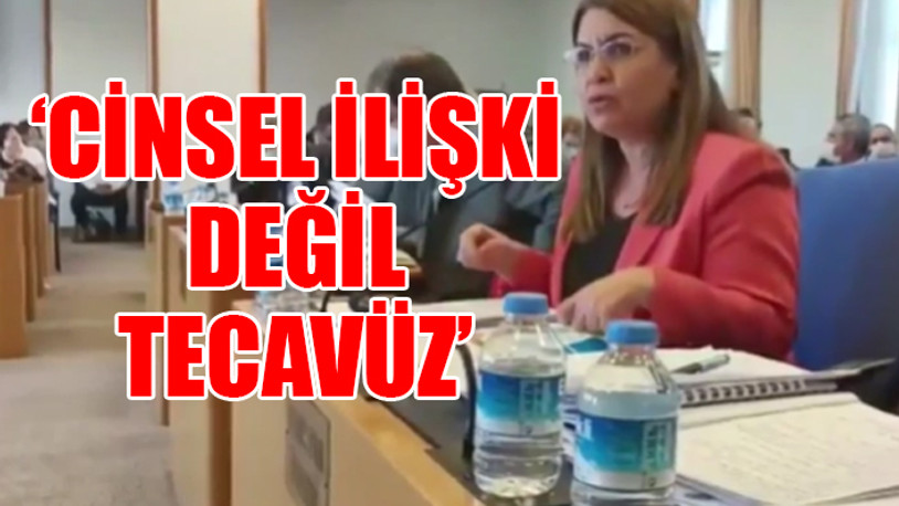 Meclis'te 'hayvanlarla cinsel ilişki' maddesi gerginliği