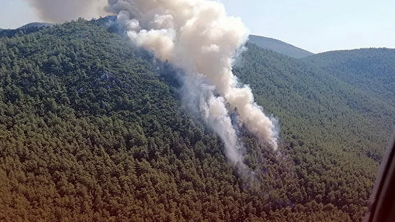 Muğla'da orman yangınıyla ilgili gözaltına alınan şüpheli tutuklandı