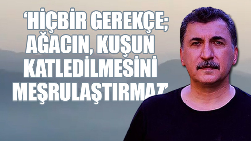 '9 gündür ormanlar yanıyor, müdahale edilmiyor...' Ünlü sanatçı isyan etti