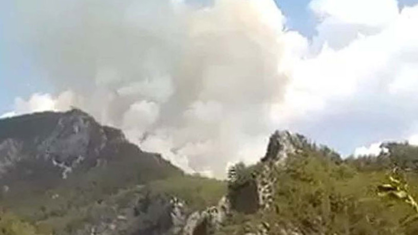 Alanya'da orman yangını çıktı: Havadan ve karadan müdahale ediliyor