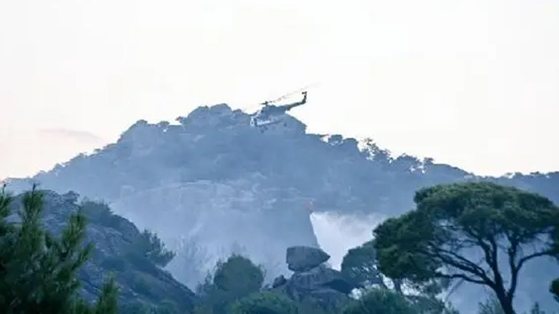 Aydın'daki orman yangını kontrol altında