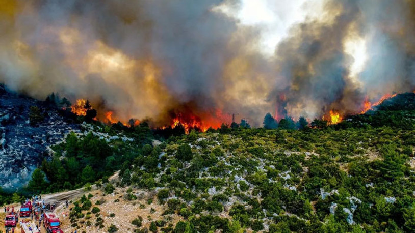 Bakan duyurdu: Antalya'da 2 yangın kontrol altına alındı