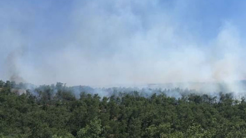 Çorum’da orman yangını