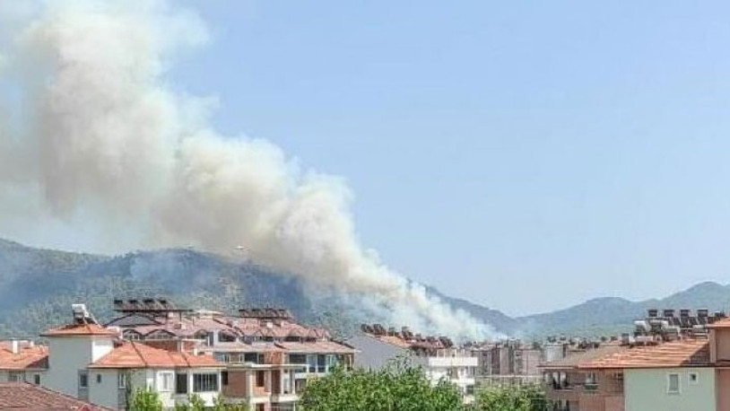 Dalaman'da orman yangını!