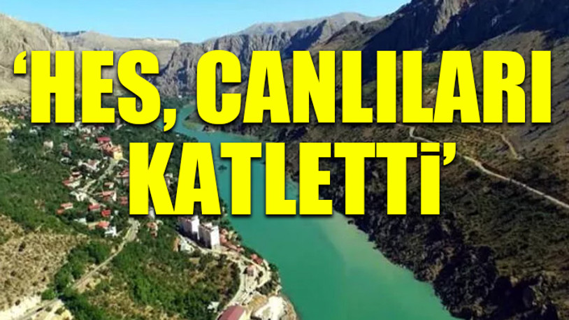 Erzincan'da yurttaşlar isyan etti