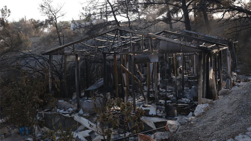 Galatasaray'dan orman yangını mağdurlarına destek