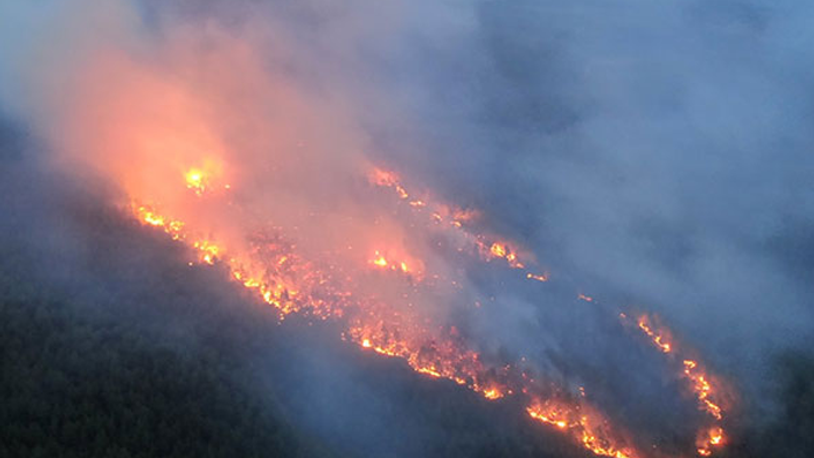 İsrail'den Türkiye'deki orman yangınlarında hayatını kaybedenler için taziye mesajı