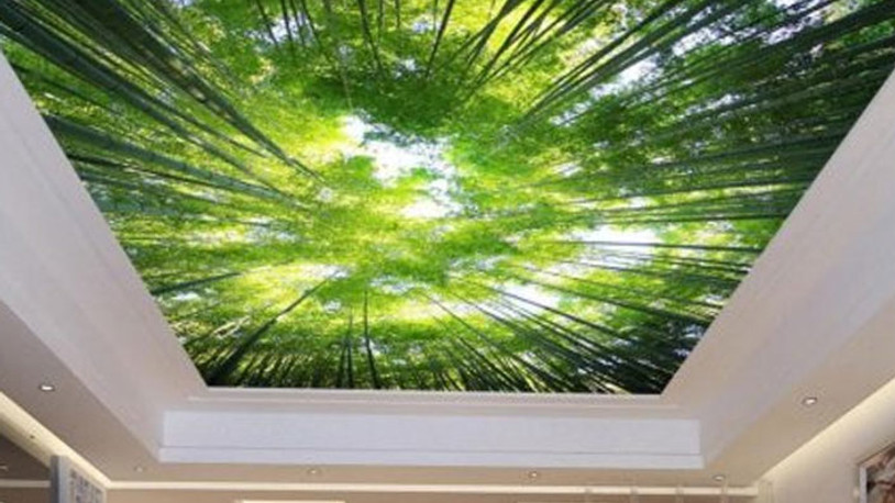 Modern Gergi Tavan Modelleri