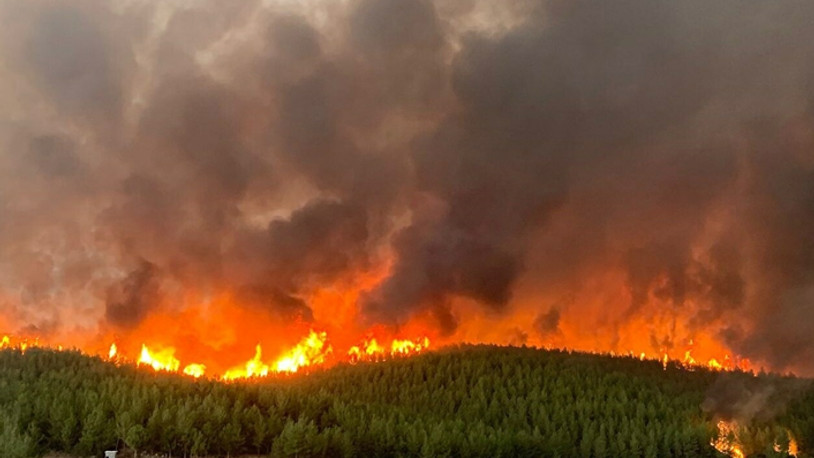 Muğla Valiliği IBAN verdi, yardım kampanyası başlattı
