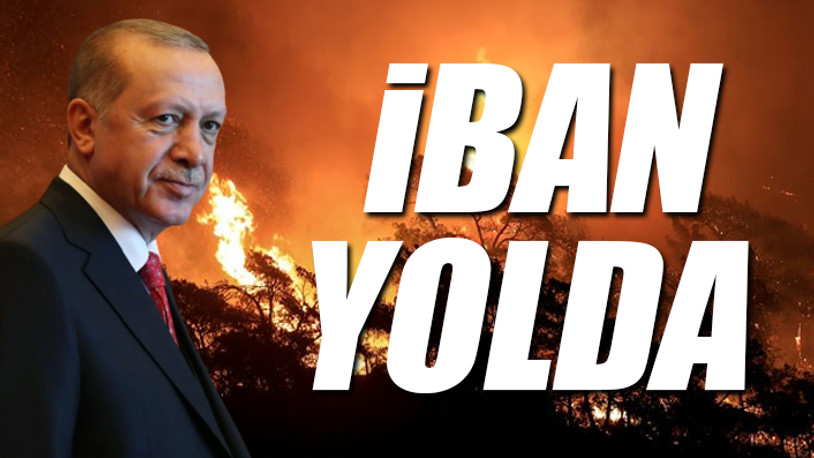 Orman yangınları ve sel felaketi için yardım kampanyası başlatılacak