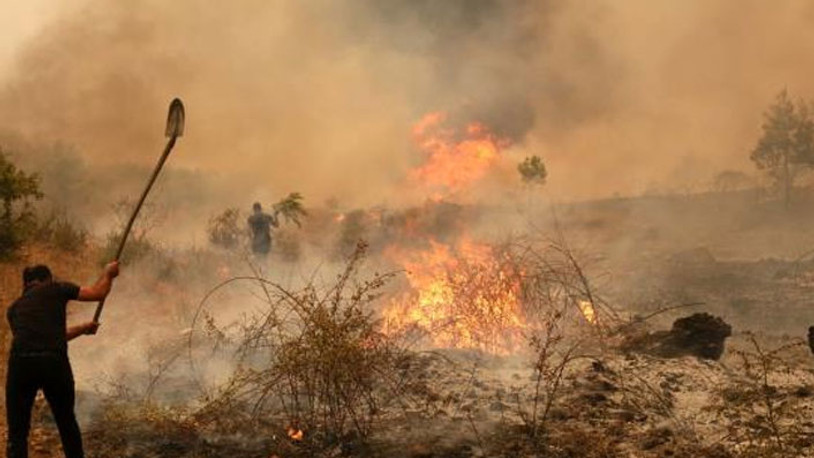 Tarım ve Orman Bakanlığı: Siviller gelişigüzel biçimde yangına müdahale etmesin