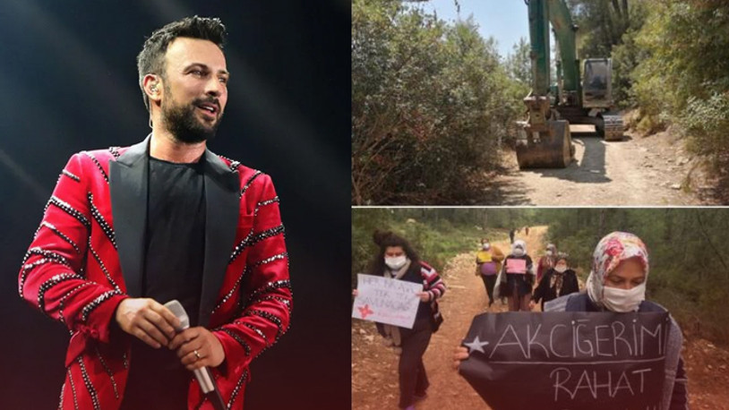 Tarkan: Akbelen Ormanı'nı terketmiyoruz