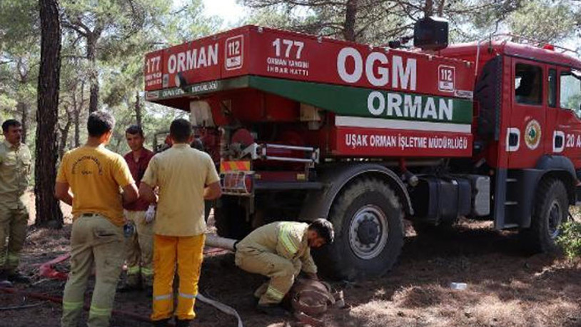 Uşak'ta orman yangını