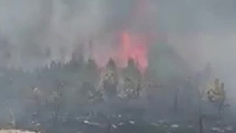 Yanan ATV ormanı tutuşturdu