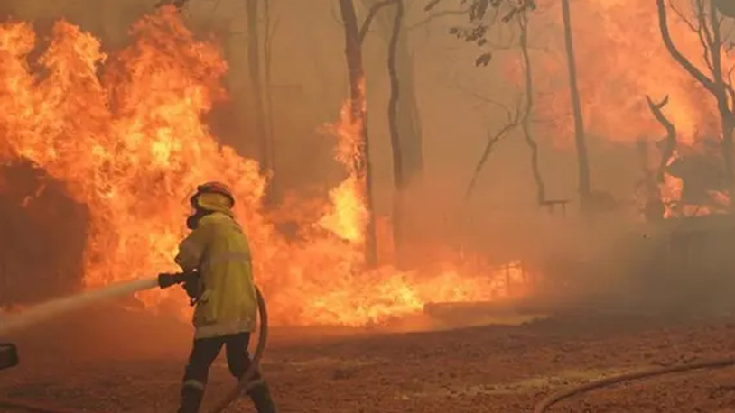 Yunanistan'daki orman yangınları hükümet karşıtı protestolara neden oldu