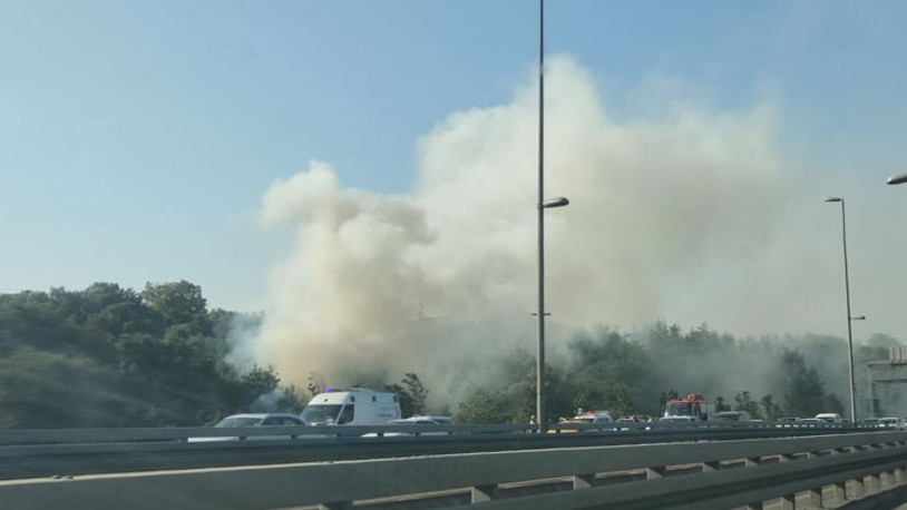 Altunizade'de ağaçlık alanda yangın