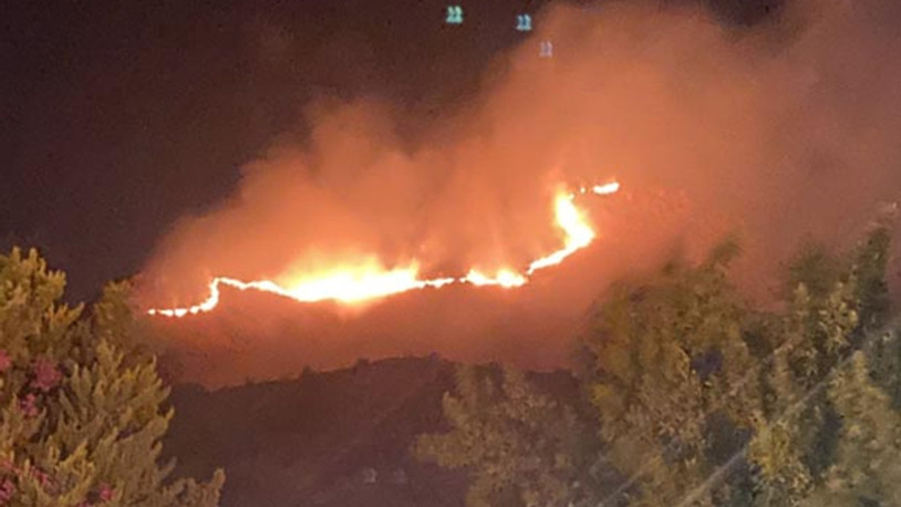 Bodrum'da otluk alanda yangın