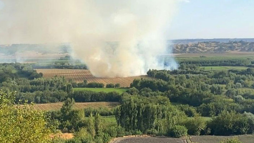 Diyarbakır'daki Hevsel Bahçeleri'nde yangın!