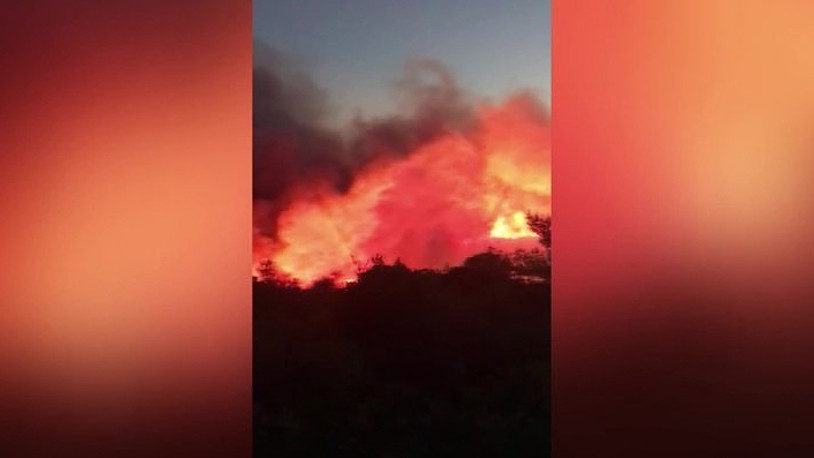 İzmir'de ormanlık alanda yangın çıktı