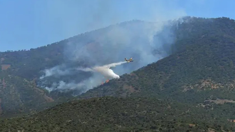 Tunceli'de 14 orman yangını kontrol altına alındı