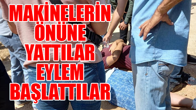 Validebağ Korusu'nda AKP'li belediye 'hukuk' tanımadı