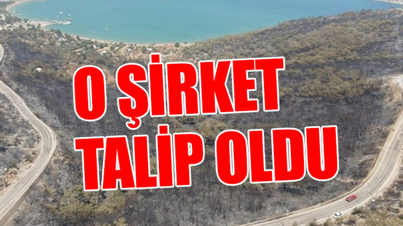 Yanan ormanlar hakkında dikkat çeken iddia