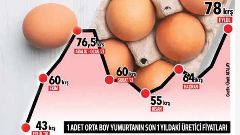 Yumurta fiyatlarına pahalandı