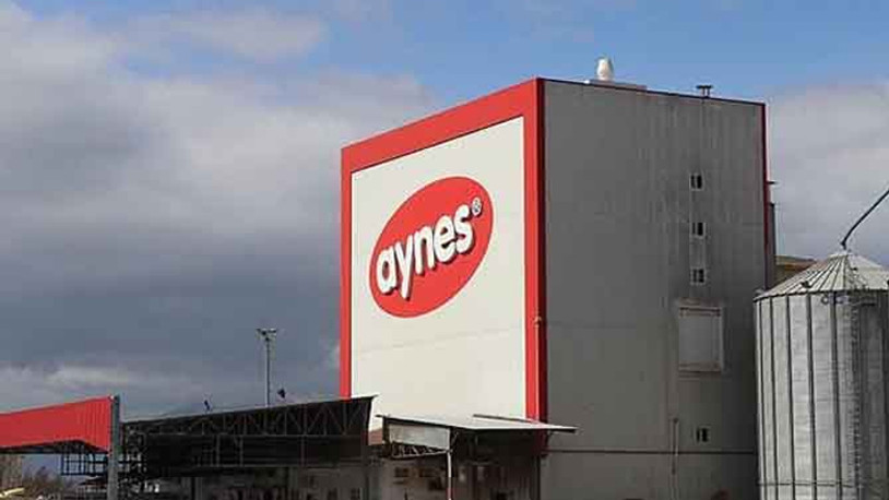 Aynes de ucuza gidecek