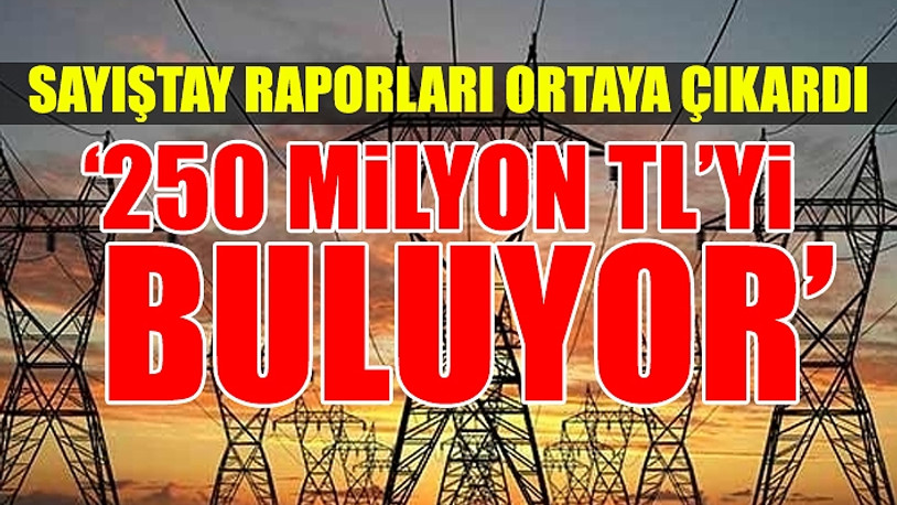 Elektrik dağıtım şirketleri devlete milyonluk borçlarını ödemedi