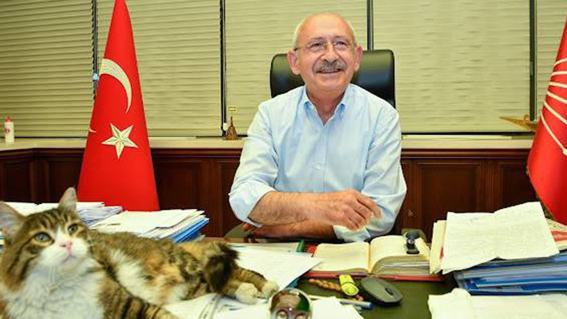 Kılıçdaroğlu'ndan 'kedili' mesaj: Gelmekte olan güzel günlere bakıyoruz 