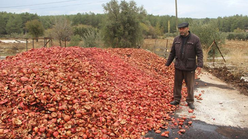 Muğlalı çiftçi isyan etti: Biz nasıl ayakta kalacağız?