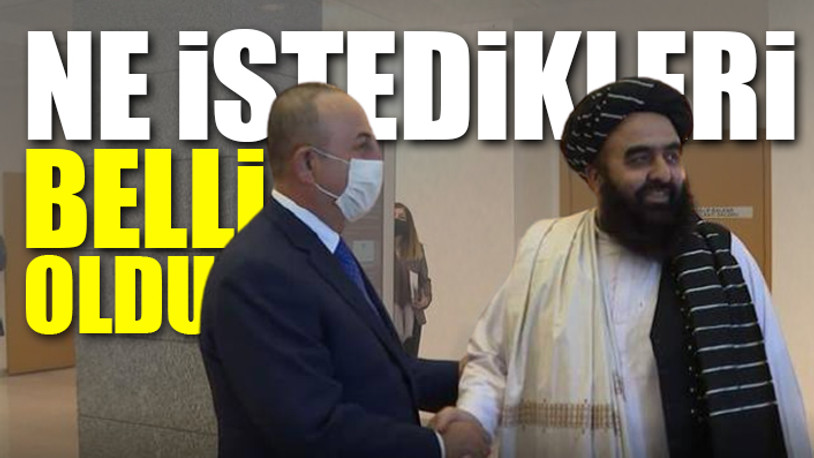 Taliban'dan Ankara ziyareti sonrası açıklama