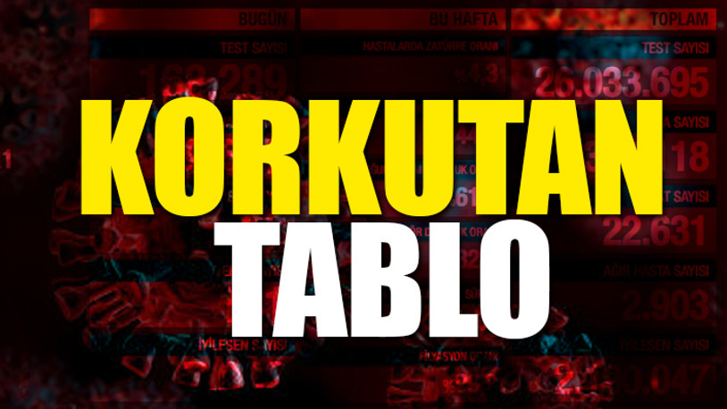 Türkiye'nin son koronavirüs tablosu...