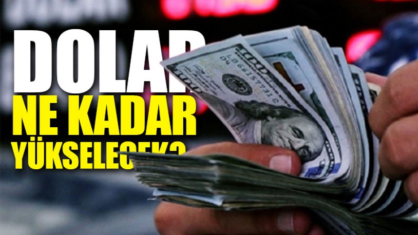 Ünlü ekonomist Remzi Özdemir açıkladı... İşte dolar kurunun geleceği 