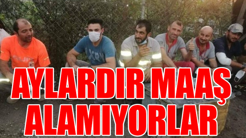 Zafer İnşaat'ta kriz... Papua Yeni Gine’de Türk işçilerden eylem! Zafer İnşaat'tan açıklama geldi...