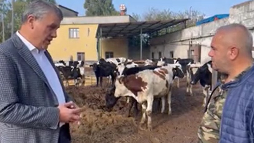 Adana'da hayvanlarını kesime gönderen besici isyan etti 