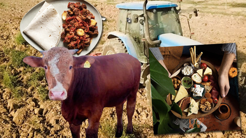 Karkas Çiftliği’nin kurucusu Mert Tutak anlattı: Doğal ürünler nasıl elde edildi?