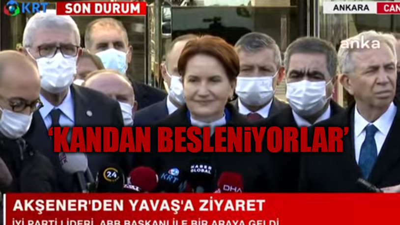 Akşener'den AKP'li vekillere: Başkanlarına karşı duydukları gıcıklığı bize döktüler
