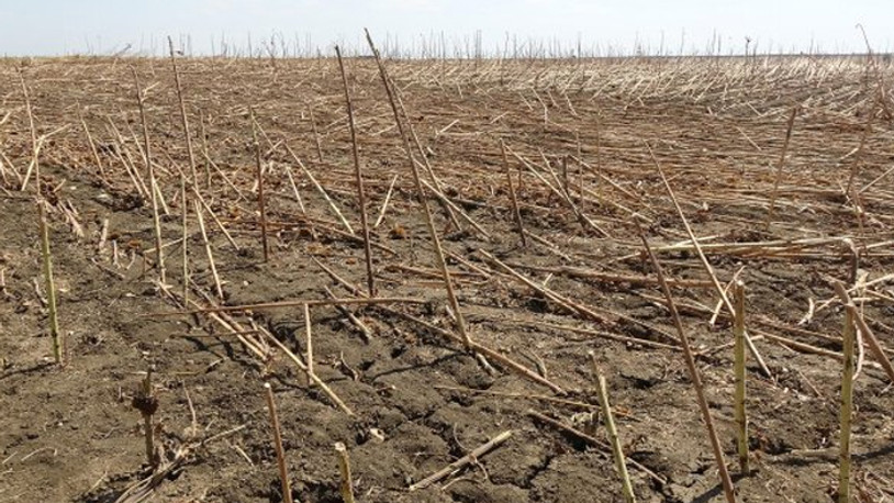 Borçlu çiftçiler isyanda: Ankara'da seslerini duyuracaklar