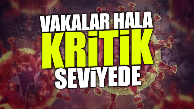 Günlük koronavirüs vaka tablosu açıklandı