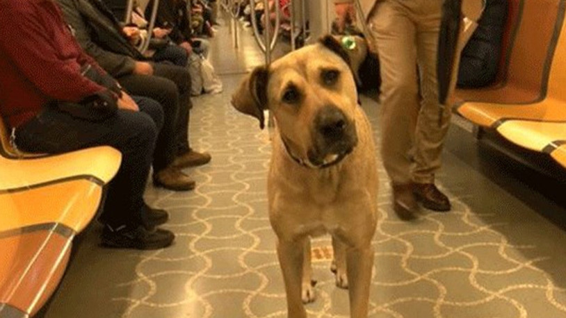 İmamoğlu'ndan kumpas mağduru Boji hakkında açıklama